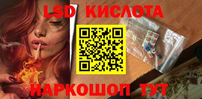 дмт Кингисепп