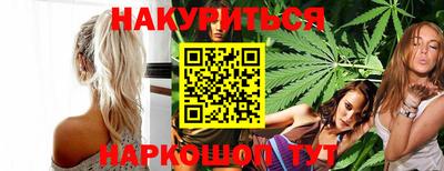дмт Кингисепп