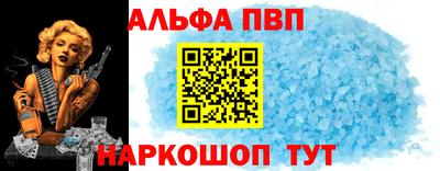дмт Кингисепп