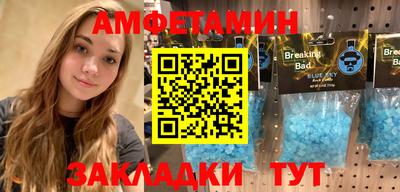 дмт Кингисепп