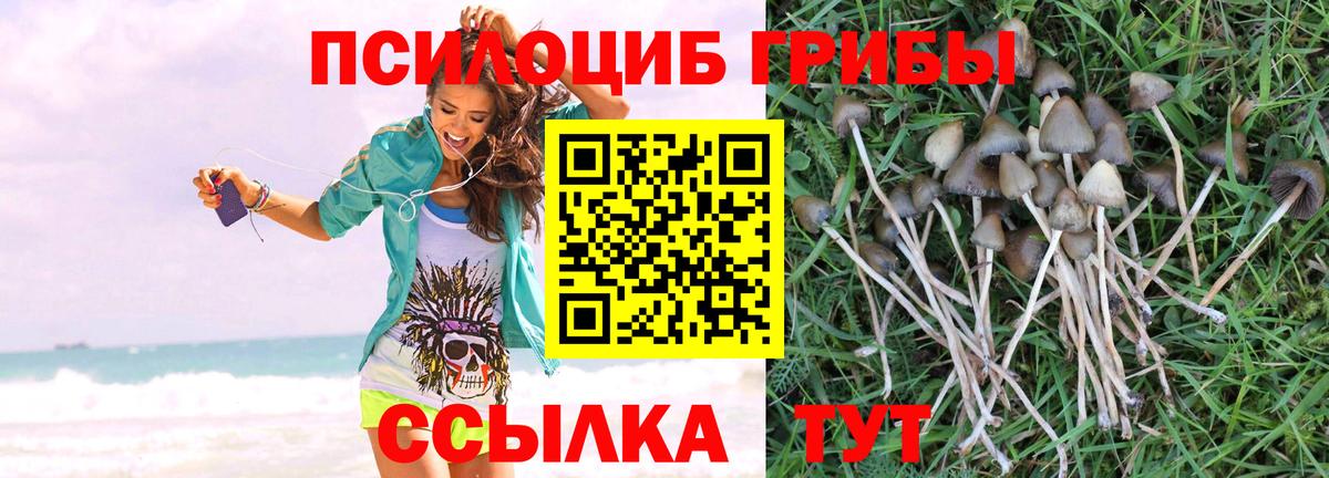 Краснокаменск  Псилоцибиновые грибы MAGIC MUSHROOMS  Вход с VPN  Галлюциногенные грибы Magic Shrooms 