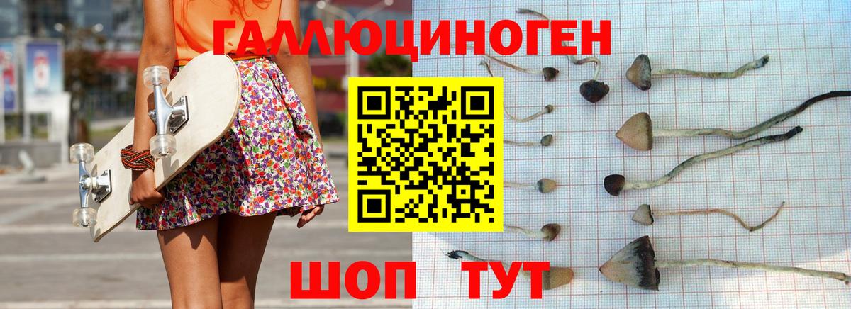 Галлюциногенные грибы мухоморы Краснокаменск